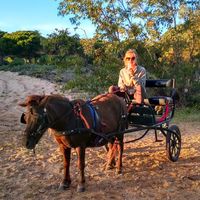 Janika Schumann's Photo