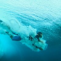 Francisco Camacho's Photo