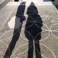 Louise Collard's Photo