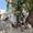 Abdeljalil Friha's Photo