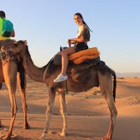 Sara Perez Casas的照片