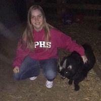 Sara Donato的照片