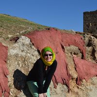 Julia Polok的照片