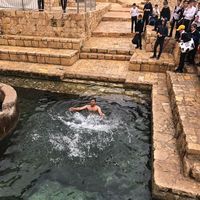 Fâwžî Żäro's Photo