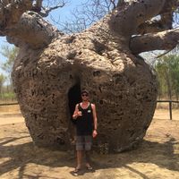 Michael Shales's Photo