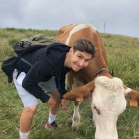 andrei alexa's Photo