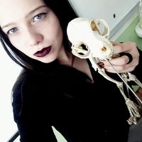 Polina Bombakova的照片