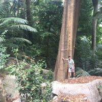 Friedrich Bahr的照片