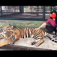 Rabab Atrach's Photo