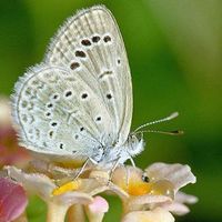 Paty Belorgey的照片