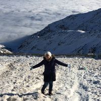 Fateme Ashrafi的照片