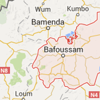 Domche Franc's Photo