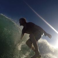 Sam Well Tidy的照片