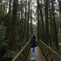 Matchali Chanluthin的照片