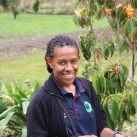 Azalea Anota的照片