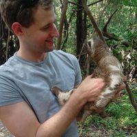 Le foto di Alex Vivian-Riding