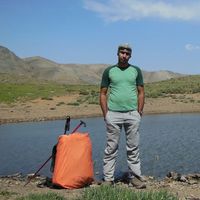 Amir goharshenas's Photo