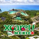 XCARET's picture