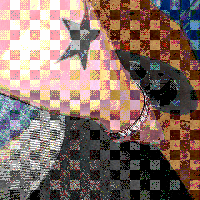 Nele Möller's Photo