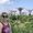 Charlotte's Photo