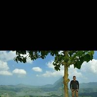 Muhammad Taufik's Photo