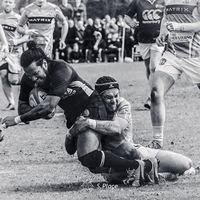 Erik Voestermans的照片