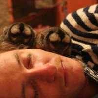 Photos de joss pichavant