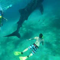 Jason Schumacher的照片