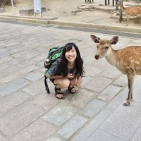 Anna Shimizu的照片