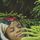 Aduke and Alabi's Photo