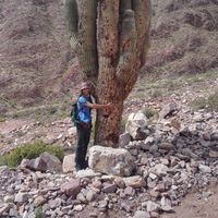 Iker Villanueva Agirrezabal的照片