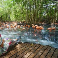 Fotos von Melike Öztürk