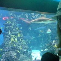 Petra Kekić的照片