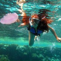 Fotos de Lika Londaridze