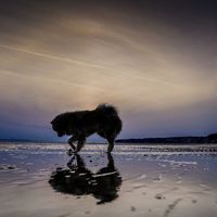 Paula & Jana's Photo