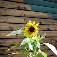 Linda Eppler's Photo