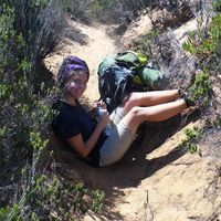 Sarah Sonnenblumenkerne的照片