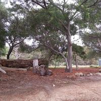 Emu Del retreat的照片