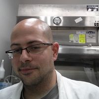 Fotos de Tzahi Noiman