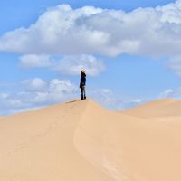 Sepideh Shahhoseini's Photo