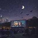 Film Night Under the Stars's picture