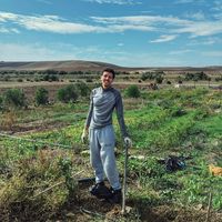 Mehdi Bahri的照片