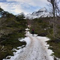 Lis Bobadilla's Photo