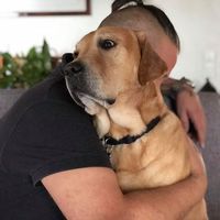 Brian Thorsen的照片