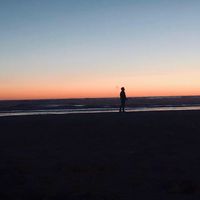 Alexander Vasiliev的照片