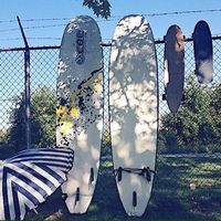 Sakura Kurosaki's Photo