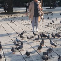 Masimah Mashkouri的照片