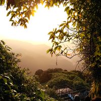 prageeth gunasinghe的照片