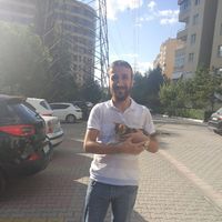 Photos de julian merlon