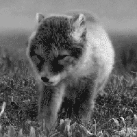 Dorjan Slogar's Photo